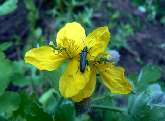 Similar image 837498