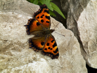 Similar image 837499