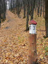 Similar image 837510