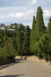 Similar image 837524