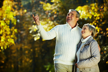 Similar image 837617