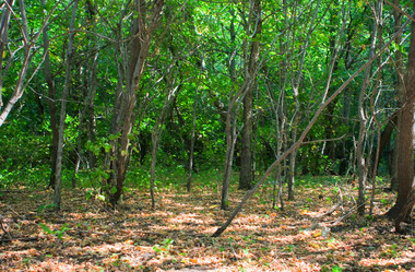 Similar image 837649