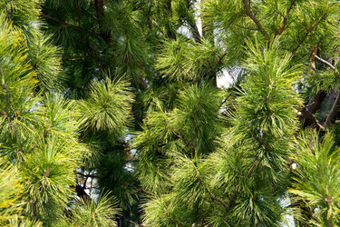 Similar image 837651