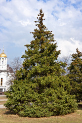 Similar image 837652