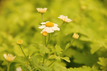 Similar image 837680