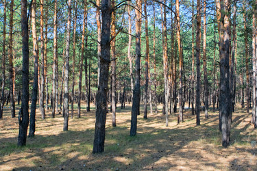 Similar image 837685