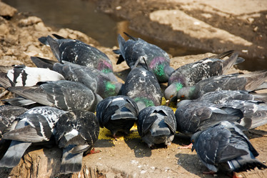 Similar image 837697