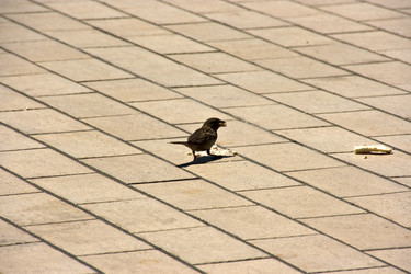 Similar image 837698