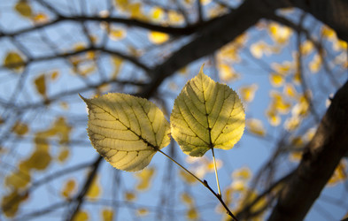 Similar image 837723