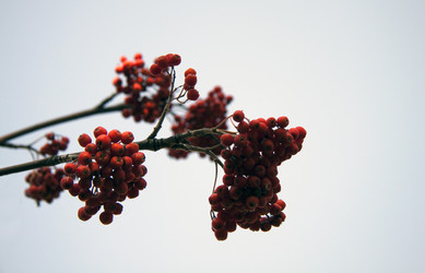 Similar image 837732