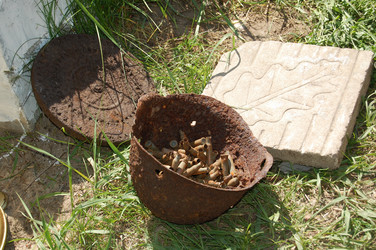 Similar image 837765