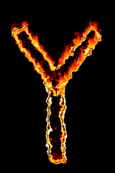 Similar image 837796