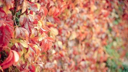 Similar image 837843