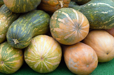 Similar image 837847