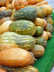 Similar image 837848