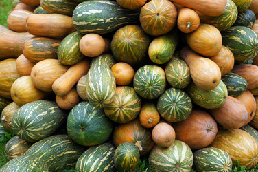 Similar image 837850