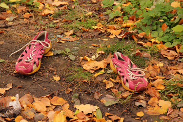 Similar image 837858