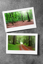 Similar image 837880