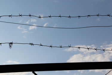 Similar image 837893