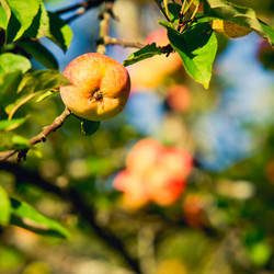 Similar image 837930