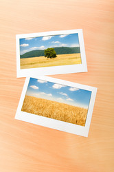 Similar image 837932