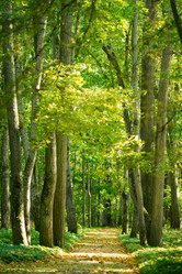 Similar image 837933