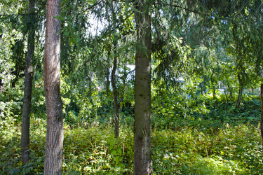 Similar image 837947