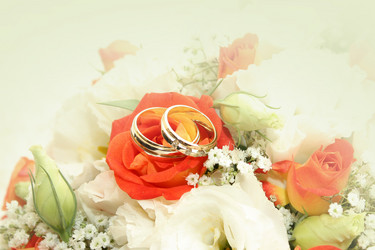 Similar image 838000