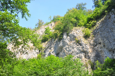 Similar image 838033