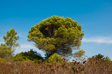 Similar image 838169