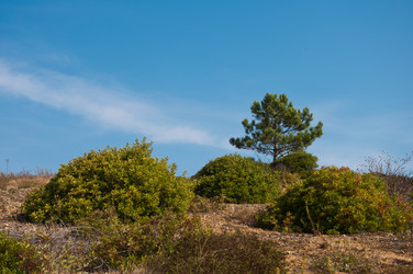 Similar image 838178