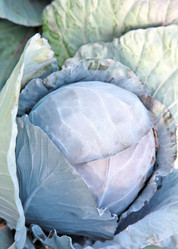 Similar image 838181