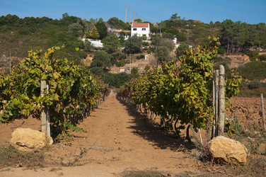 Similar image 838184