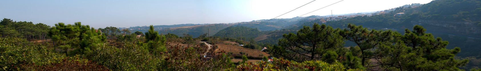 Similar image 838192