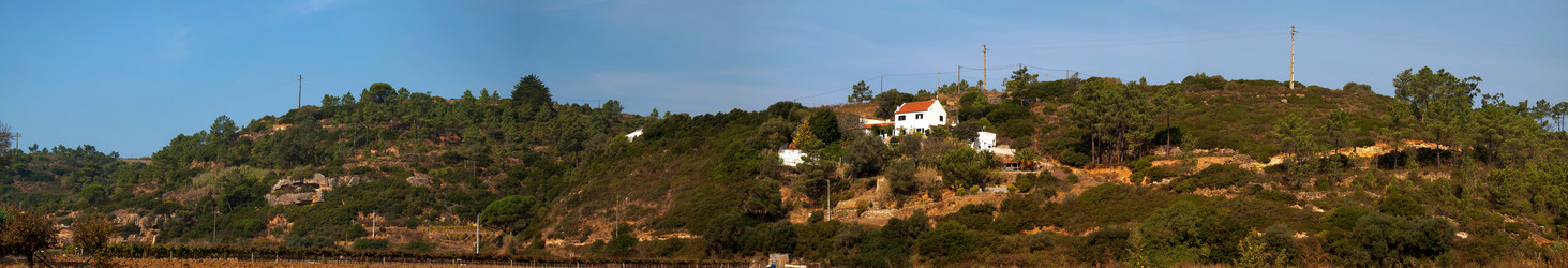 Similar image 838193