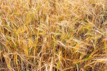 Similar image 838201