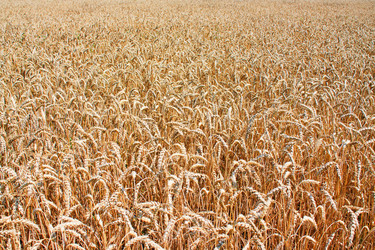 Similar image 838202