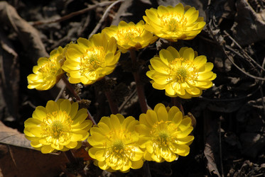 Similar image 838235