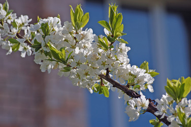 Similar image 838237