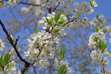 Similar image 838240