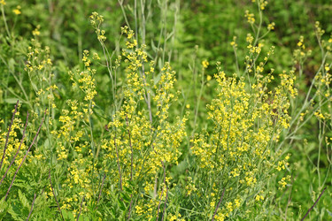 Similar image 838242