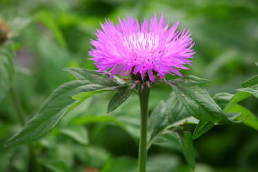 Similar image 838248