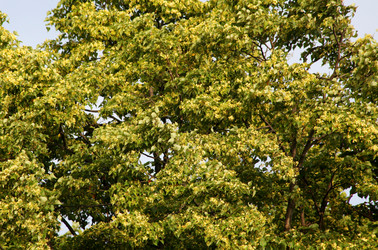 Similar image 838250