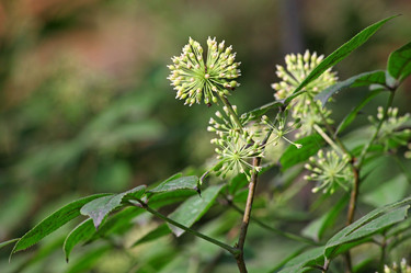 Similar image 838251