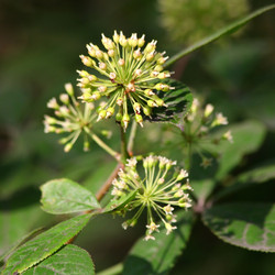 Similar image 838252