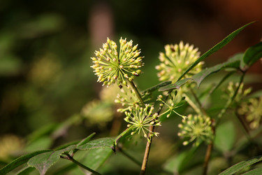 Similar image 838253