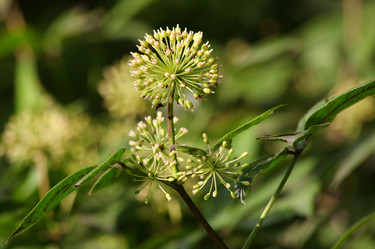 Similar image 838254