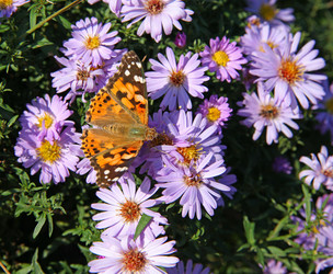 Similar image 838255