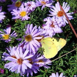 Similar image 838256