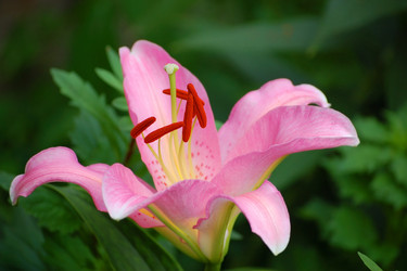 Similar image 838257